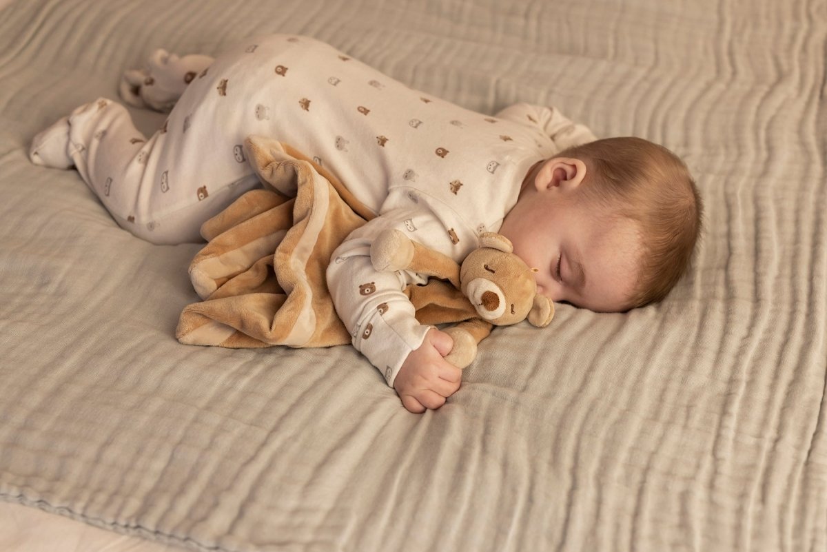 Teddy Bear Brown LoveyTriaction