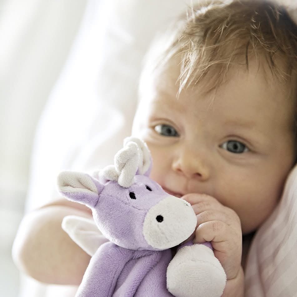 Unicorn LoveyTriaction