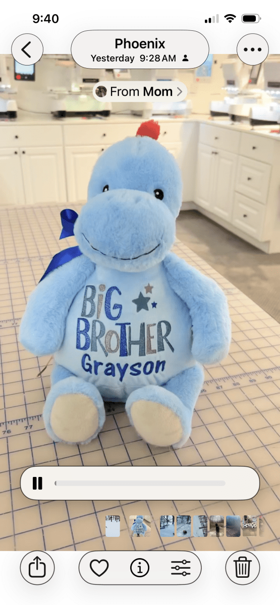 Personalized Name Raccoon Brother Stuffed Animal And Lovey SetCubbies